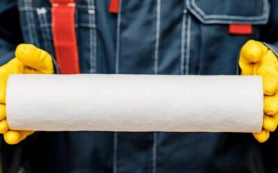 Roll shaper co daje podczas regularnych sesji?