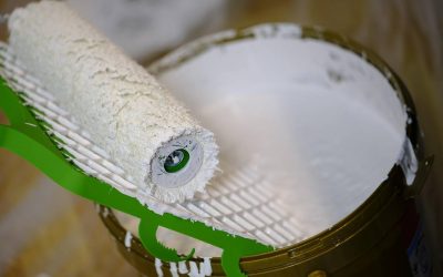 Derma roller jakiej firmy warto wybrać do pielęgnacji skóry?