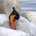 Ile trwa mezoterapia igłowa i czego się spodziewać podczas zabiegu?